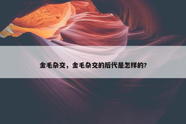 金毛杂交，金毛杂交的后代是怎样的?