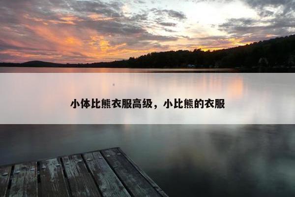 小体 第3页