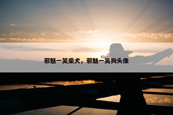 邪魅一笑柴犬，邪魅一笑狗头像
