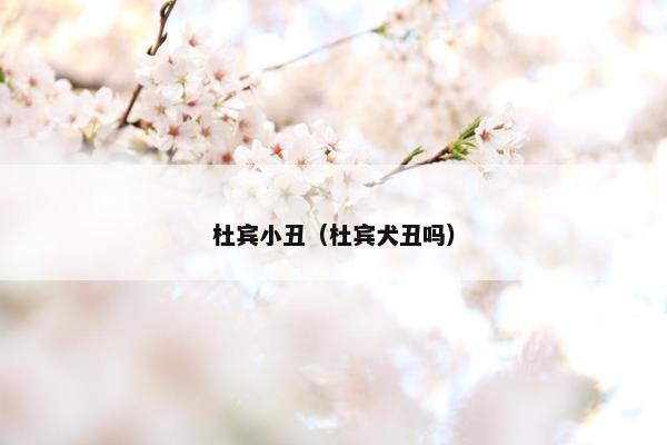 杜宾小丑（杜宾犬丑吗）