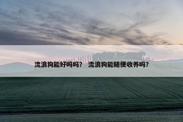流浪狗能好吗吗？ 流浪狗能随便收养吗？