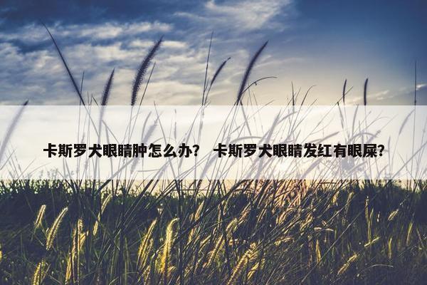 卡斯罗犬眼睛肿怎么办? 卡斯罗犬眼睛发红有眼屎?