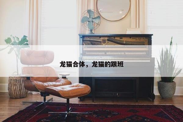 龙猫合体，龙猫的跟班
