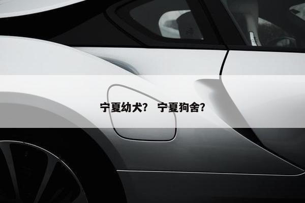 宁夏幼犬？ 宁夏狗舍？