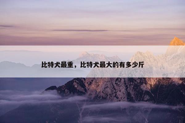 比特犬最重，比特犬最大的有多少斤