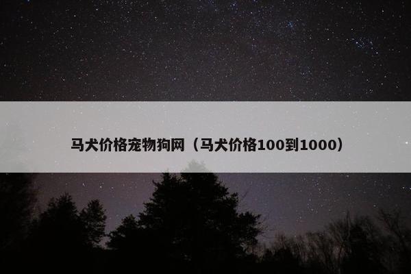 马犬价格宠物狗网（马犬价格100到1000）