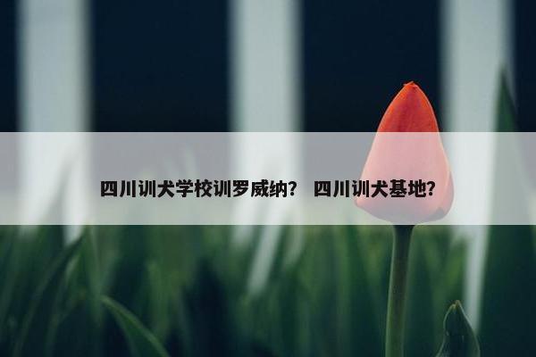 四川训犬学校训罗威纳？ 四川训犬基地？