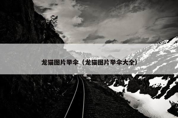 龙猫图片举伞（龙猫图片举伞大全）