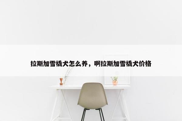 拉斯加雪橇犬怎么养，啊拉斯加雪橇犬价格