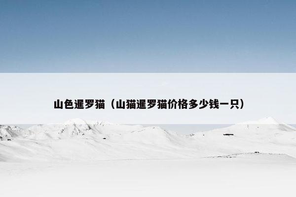 重点 第3页