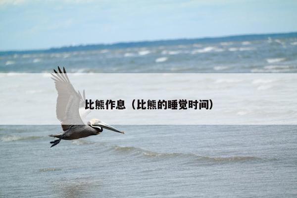 比熊作息（比熊的睡觉时间）