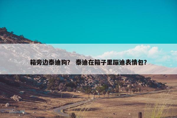 箱旁边泰迪狗？ 泰迪在箱子里蹦迪表情包？