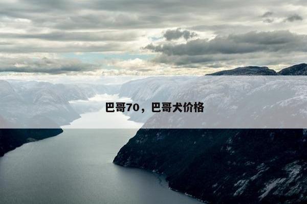 巴哥70，巴哥犬价格