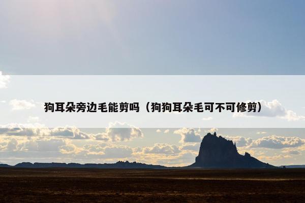 狗耳朵旁边毛能剪吗（狗狗耳朵毛可不可修剪）