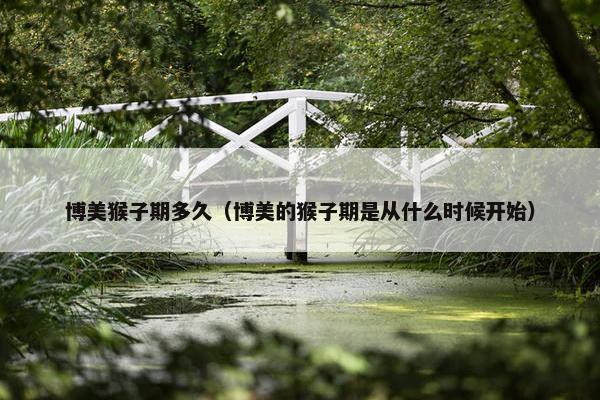 博美猴子期多久（博美的猴子期是从什么时候开始）