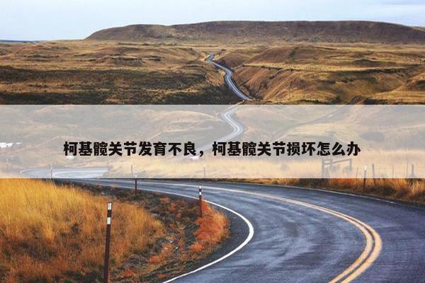 柯基髋关节发育不良，柯基髋关节损坏怎么办