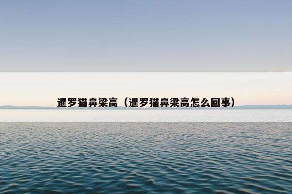 暹罗猫鼻梁高（暹罗猫鼻梁高怎么回事）