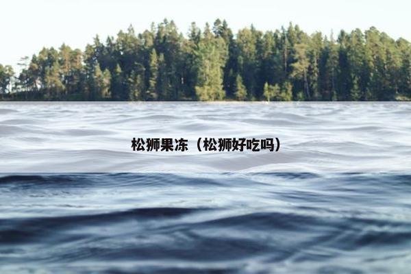 松狮果冻（松狮好吃吗）