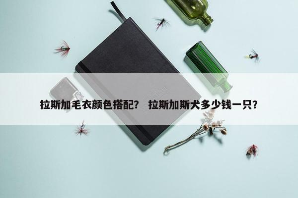 拉斯加毛衣颜色搭配？ 拉斯加斯犬多少钱一只？