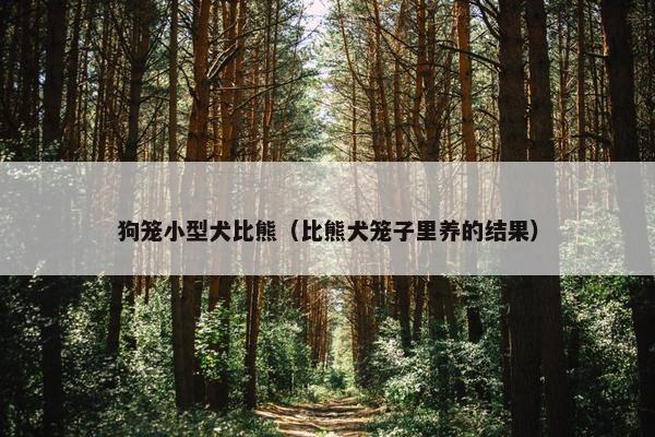 狗笼小型犬比熊（比熊犬笼子里养的结果）