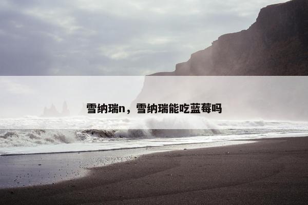 雪纳瑞n，雪纳瑞能吃蓝莓吗