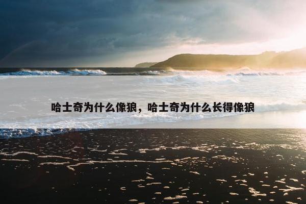 哈士奇为什么像狼，哈士奇为什么长得像狼