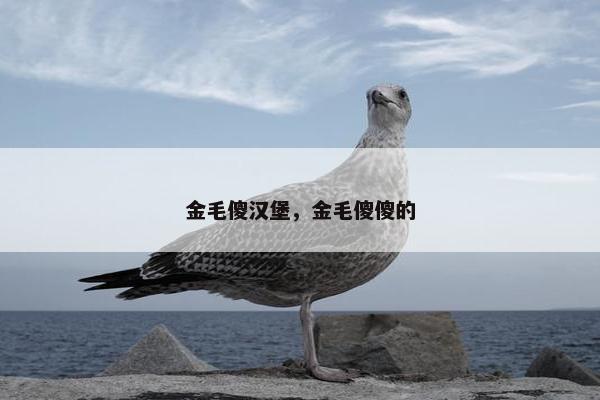 啤酒