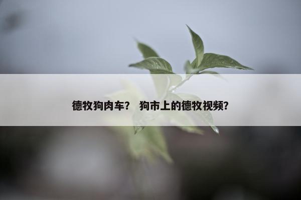 德牧狗肉车？ 狗市上的德牧视频？