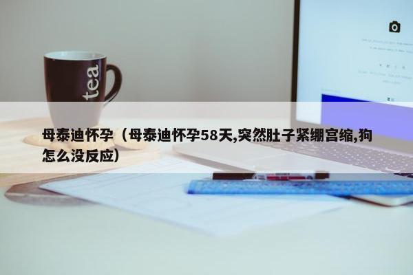 母泰迪怀孕(母泰迪怀孕58天,突然肚子紧绷宫缩,狗怎么没反应)