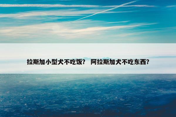拉斯加小型犬不吃饭？ 阿拉斯加犬不吃东西？