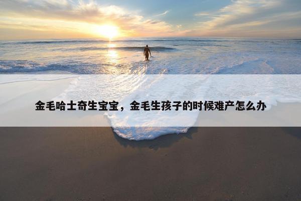 金毛哈士奇生宝宝，金毛生孩子的时候难产怎么办