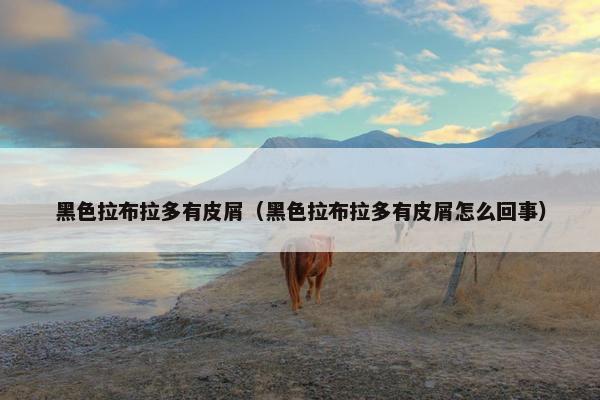 皮肤 第5页