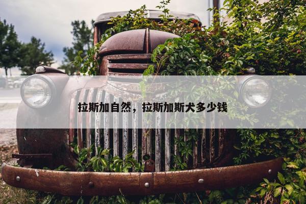 拉斯加自然，拉斯加斯犬多少钱
