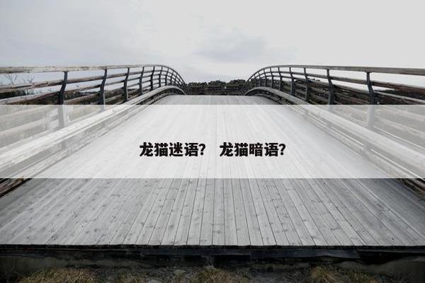 龙猫迷语？ 龙猫暗语？