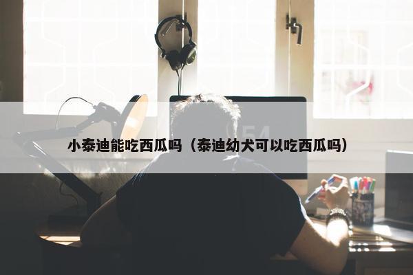 小泰迪能吃西瓜吗(泰迪幼犬可以吃西瓜吗)