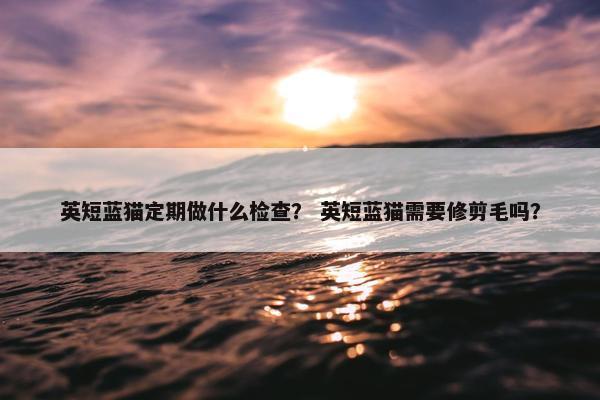 英短蓝猫定期做什么检查？ 英短蓝猫需要修剪毛吗？