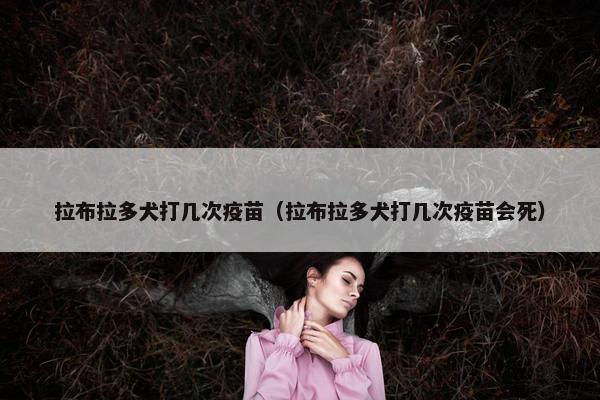 拉布拉多犬打几次疫苗（拉布拉多犬打几次疫苗会死）