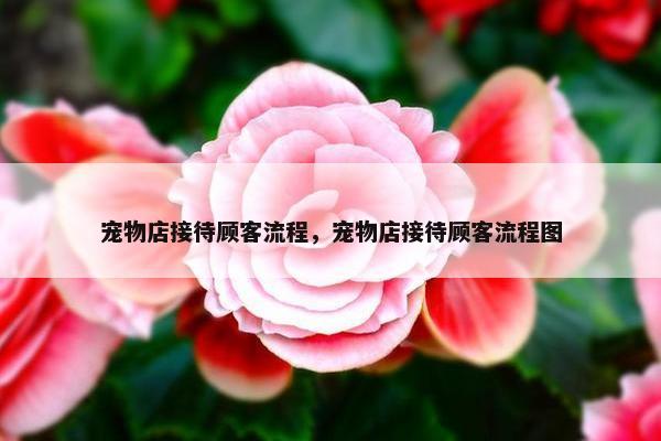 宠物店接待顾客流程，宠物店接待顾客流程图