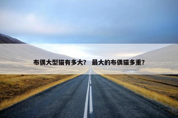 布偶大型猫有多大？ 最大的布偶猫多重？