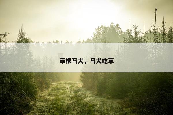 草根马犬，马犬吃草