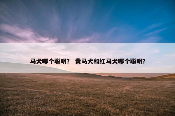 马犬哪个聪明？ 黄马犬和红马犬哪个聪明？