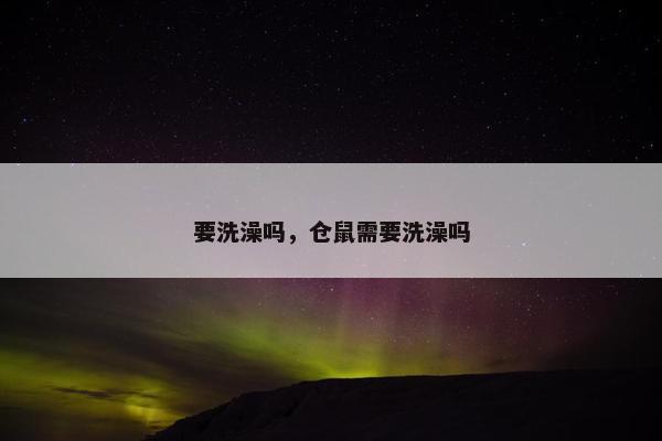 要洗澡吗，仓鼠需要洗澡吗