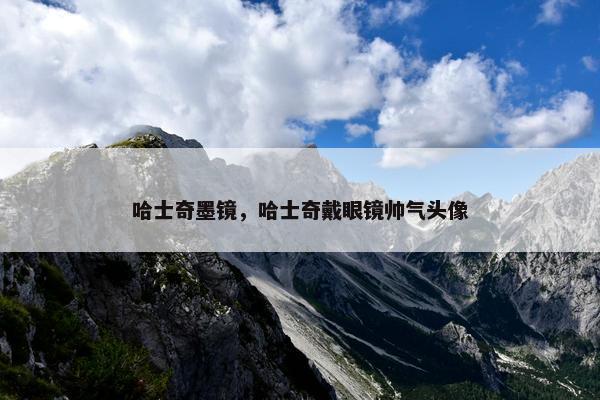 哈士奇墨镜，哈士奇戴眼镜帅气头像