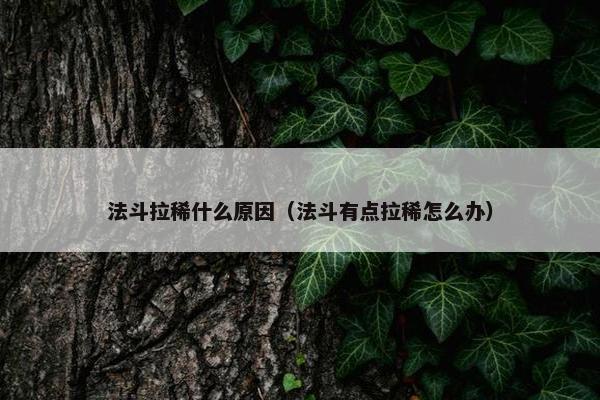 法斗 第28页