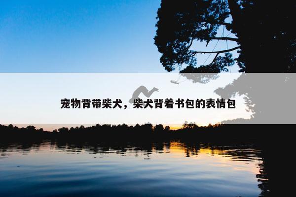 宠物背带柴犬，柴犬背着书包的表情包