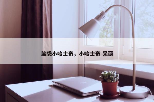 脑袋小哈士奇，小哈士奇 呆萌