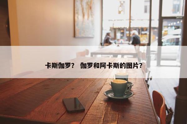 卡斯伽罗？ 伽罗和阿卡斯的图片？