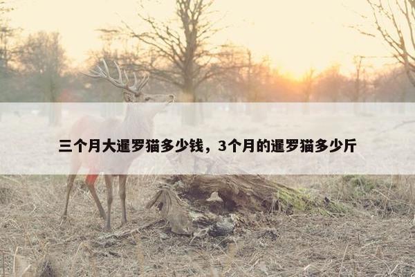 幼年