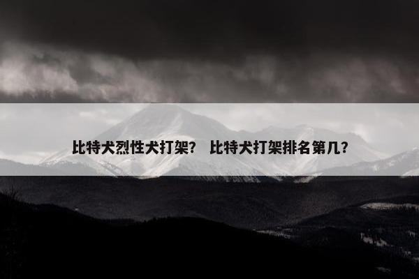 比特犬烈性犬打架？ 比特犬打架排名第几？