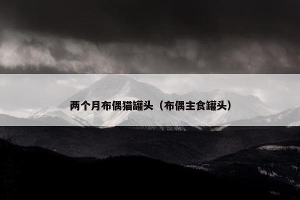 两个月布偶猫罐头(布偶主食罐头)